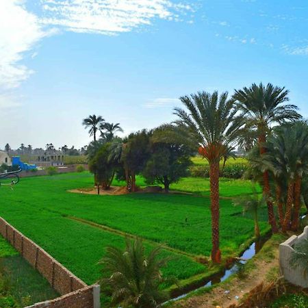 Farida Apartments Luxor Ngoại thất bức ảnh