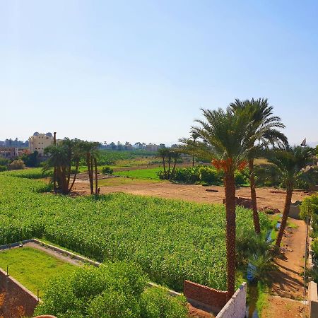 Farida Apartments Luxor Ngoại thất bức ảnh