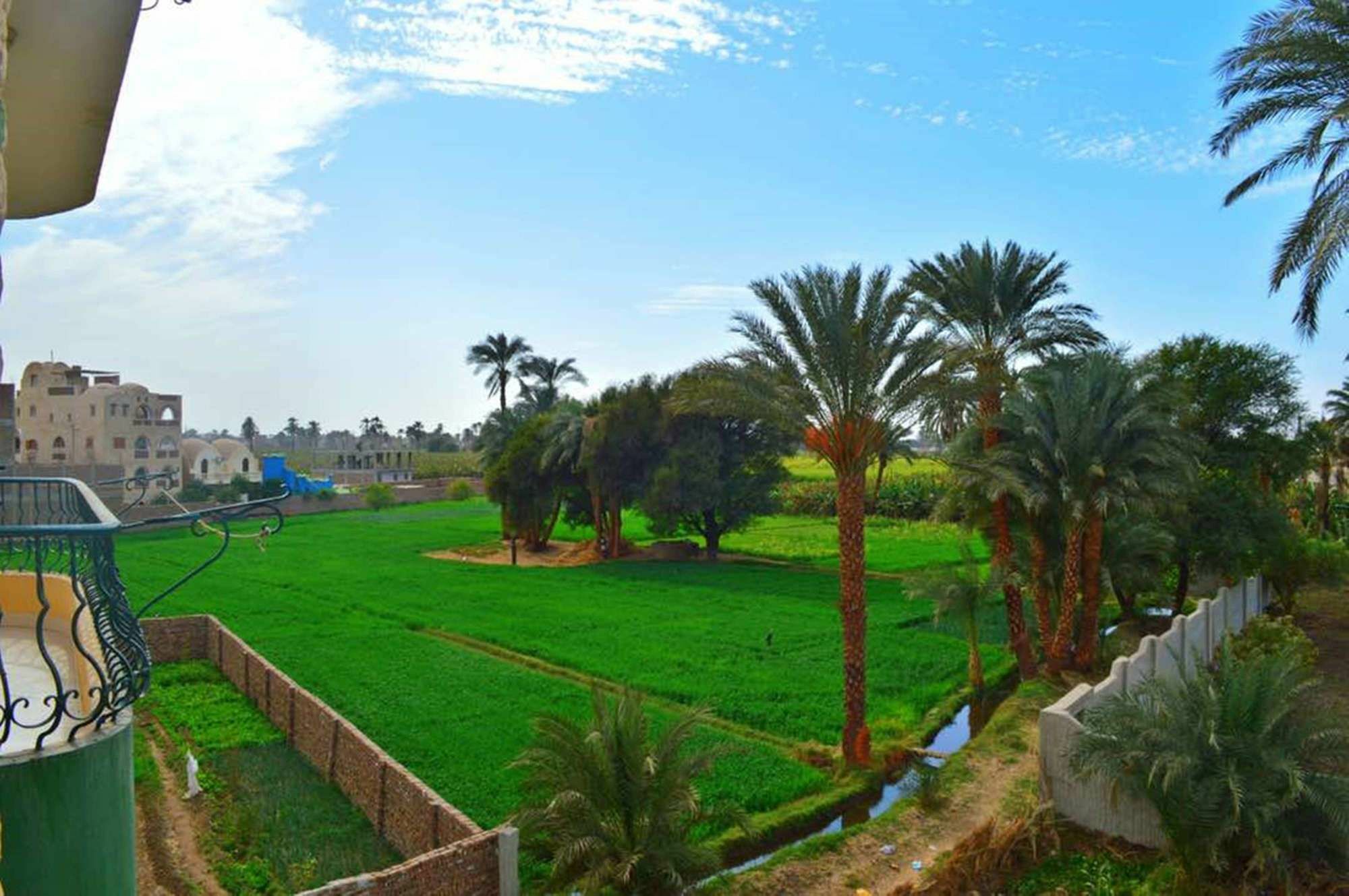 Farida Apartments Luxor Ngoại thất bức ảnh