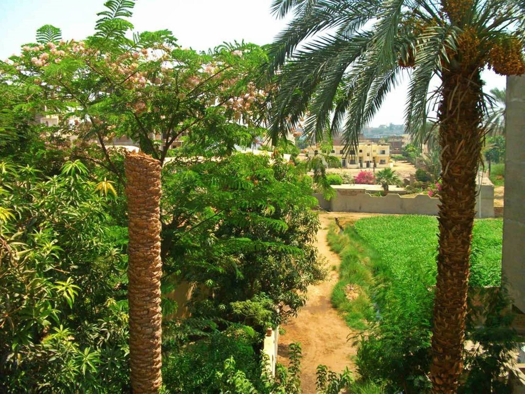 Farida Apartments Luxor Ngoại thất bức ảnh