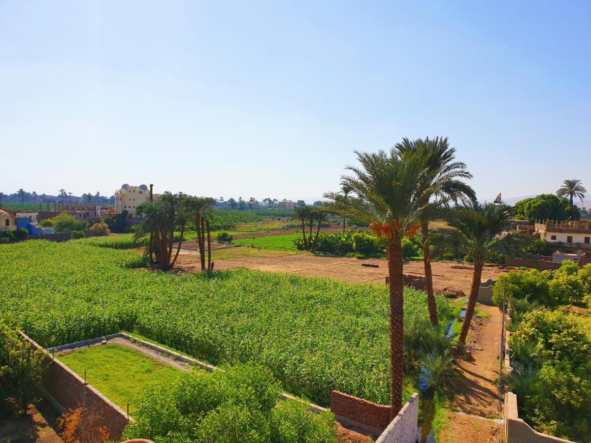 Farida Apartments Luxor Ngoại thất bức ảnh